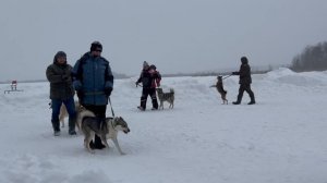 Выставка лаек 2026,город Екатеринбург