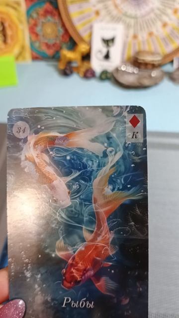 27-02-2026года.Карта дня смотреть онлайн