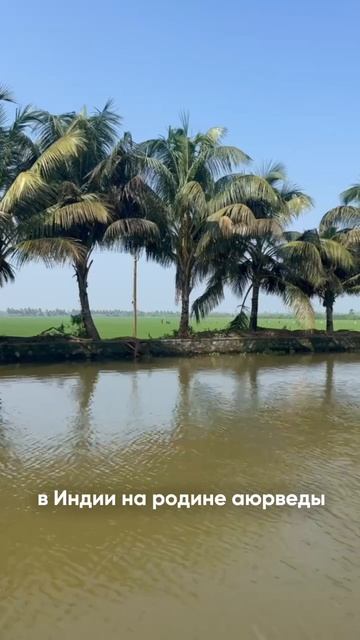 Вы устали не потому, что с вами что-то не так…