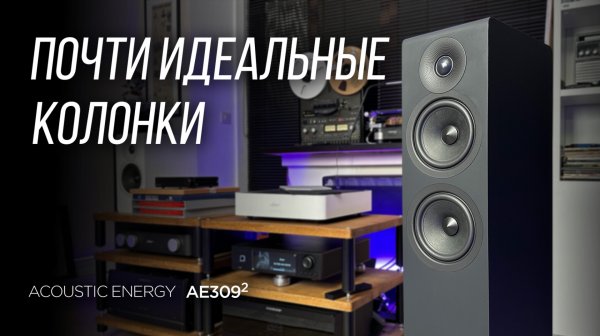 Напольники без недостатков Acoustic Energy AE309 2