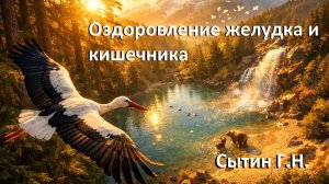 Оздоровление желудка и кишечника. Настрой создал Георгий Сытин. С музыкой.