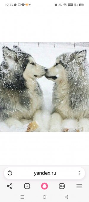 бумажные сюрпризы