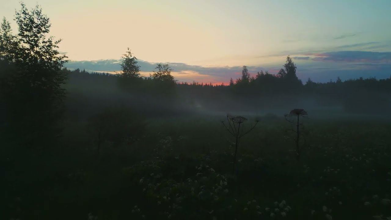 Туман в ленинградской области(fog in the Leningrad region) смотреть онлайн