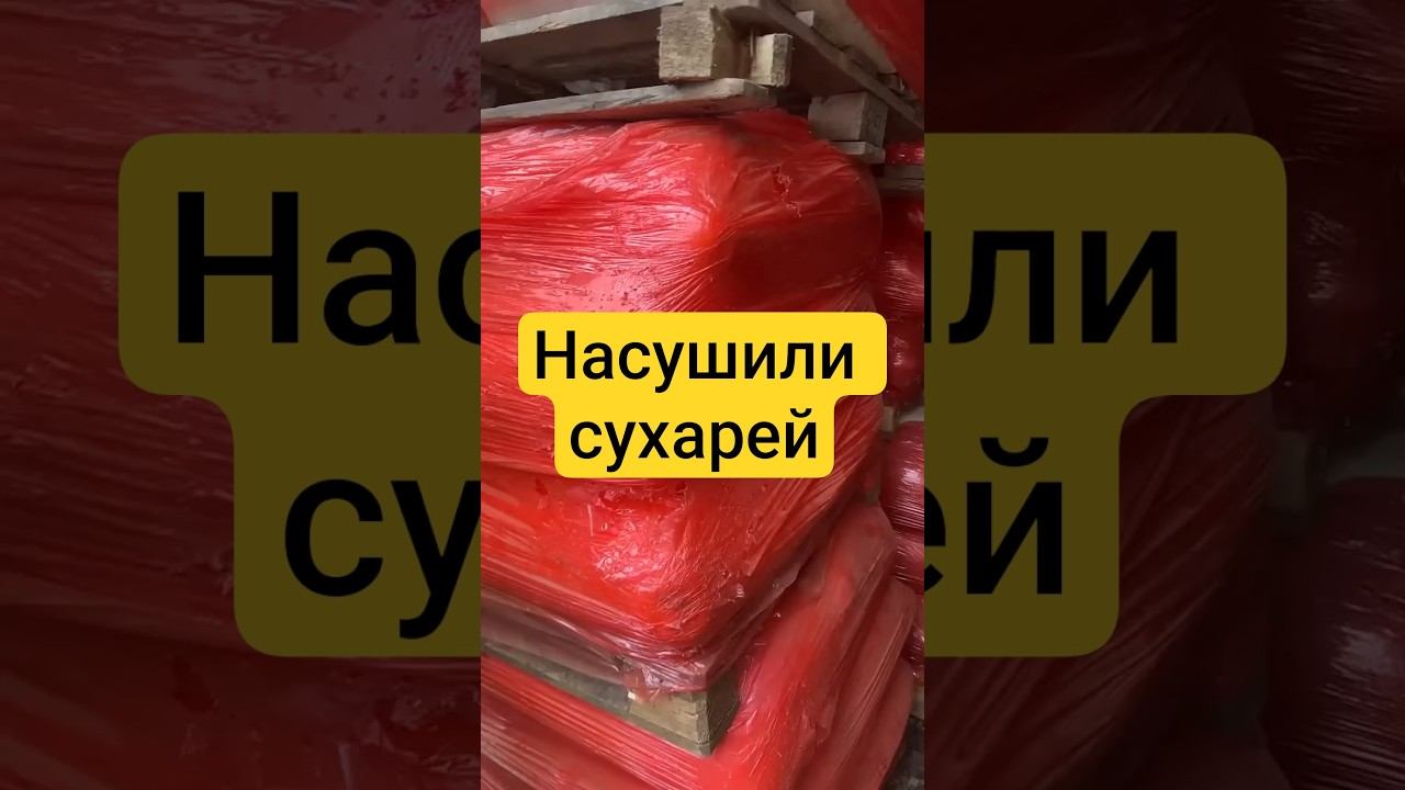 Насушили сухарей и даже успели перемолоть! смотреть онлайн