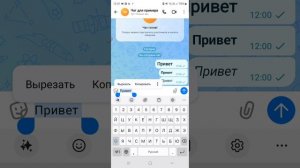 как изменить  шрифт  текста  в чате  в  максе