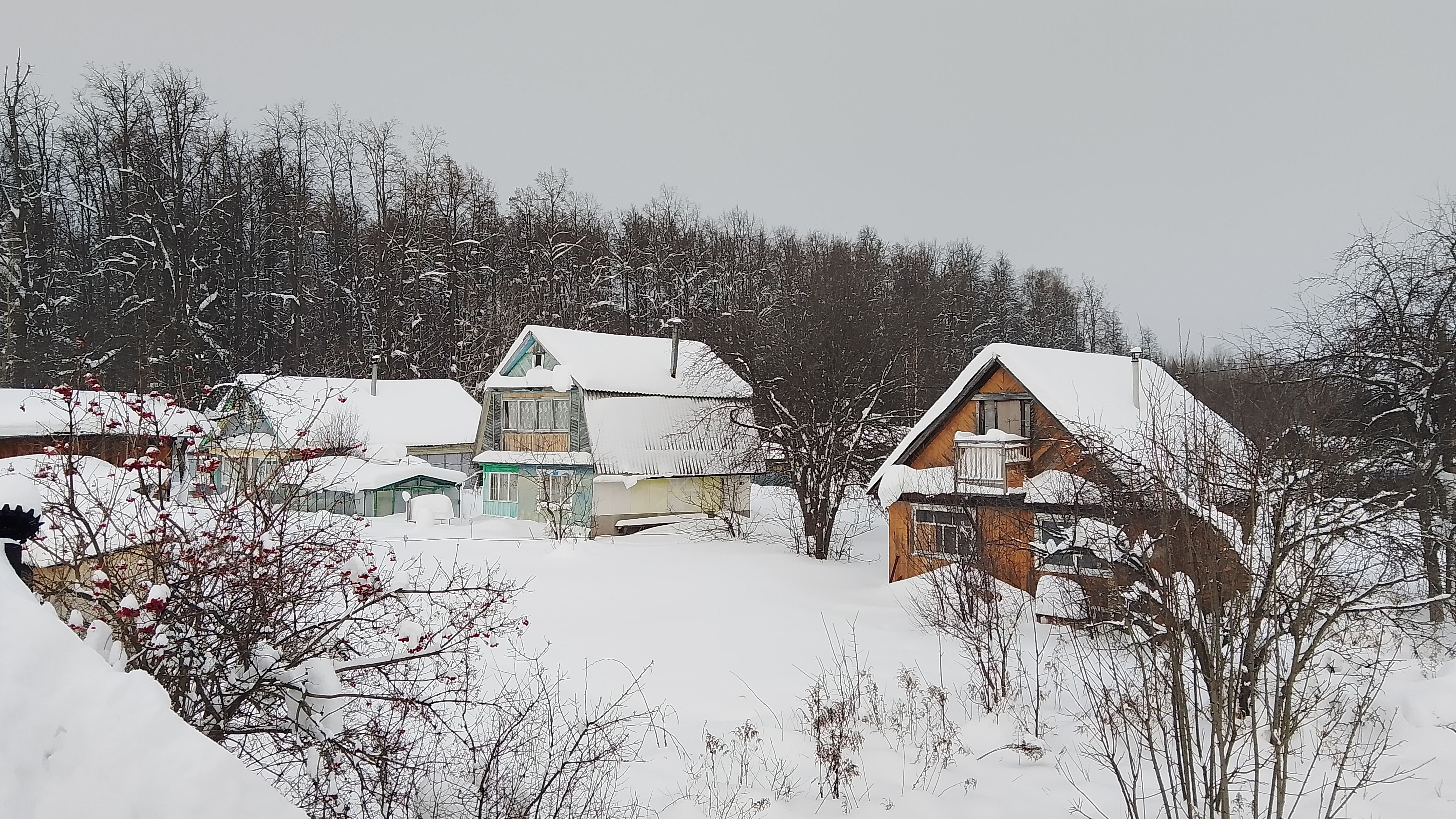 Стрим 31.01.26 смотреть онлайн