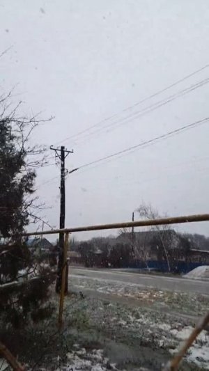 01-02-2026 #Снегопад❄❄❄