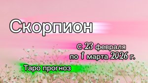 СКОРПИОН 💖таро прогноз ‼️23.02-01.03(2026) #прогноз #таро #скорпион