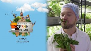 Ямал. Жизнь своих. Выпуск от 01.02.2026