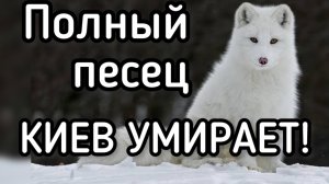 Катастрофа в Киеве. Сотни погибших, тысячи обмороженных. Зеленский скрывает масштаб трагедии