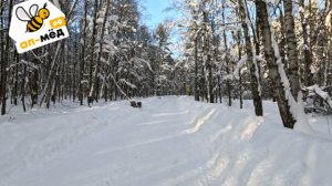 Влог: ап мёд, телеграм, о лыжах.