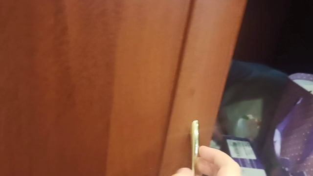 Смешная кошка Люся