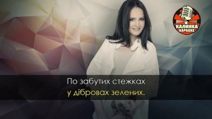 Караоке София Ротару - Червона рута