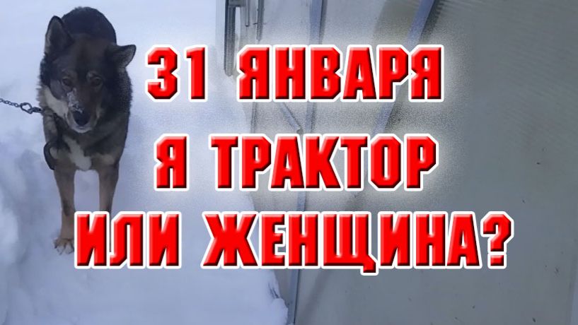 31 января. Чищу снег вместо трактора