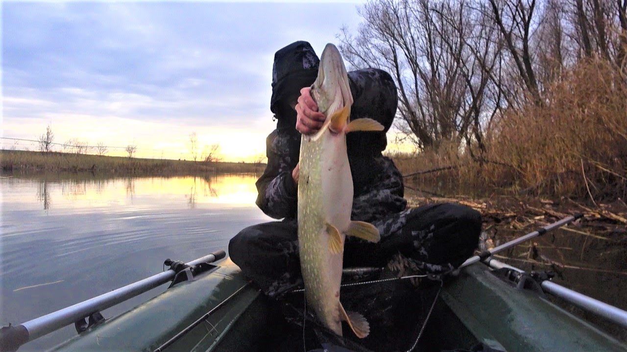 Тот самый ОСЕННИЙ ЖОР - зря МЕШОК не взял!!!! Рыбалка на спиннинг на щуку смотреть онлайн