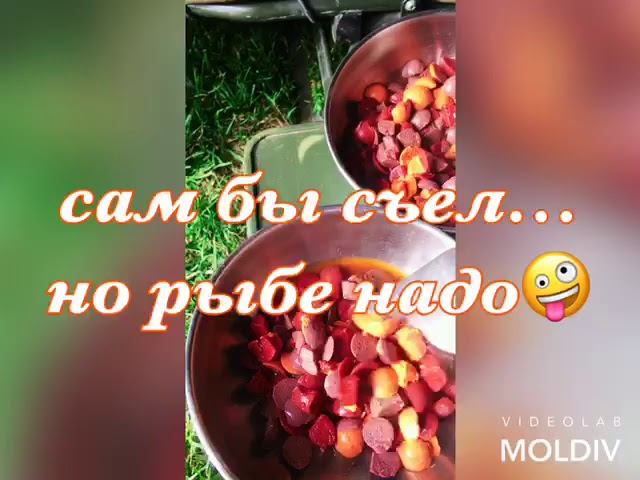 Бойлы LIon Baits в сезоне 2019 года смотреть онлайн