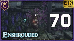 ПРОЧИТАЛ ВСЮ ИСТОРИЮ ЯЩЕРОВ В ХРАМАХ! 70 Enshrouded