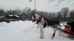 Зима в Коломенском. Древний Предтеченский храм. Старое кладбище. Конюшеный двор.