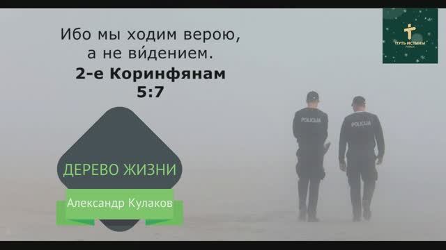 ДЕРЕВО ЖИЗНИ | Александр Кулаков