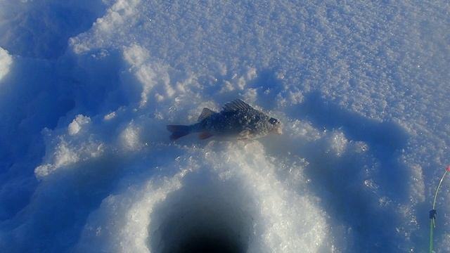 катунино-цигломень морозный денёк на рыбалке смотреть онлайн