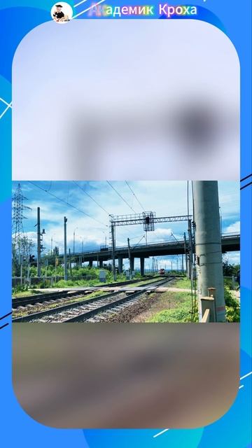 рельсовый автобус 🚌 #угадай #викторины #академиккроха #транспортдлядетей #раразвивающиеигры