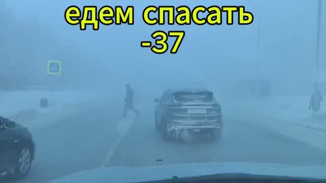 ЧП!! Заморозили курочек