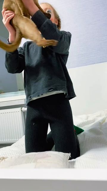 король кот 😺👑