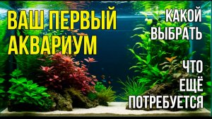 Покупаем ПЕРВЫЙ АКВАРИУМ. Какой Выбрать, и Почему. Что Ещё Необходимо Приобрести Сразу, а что нет