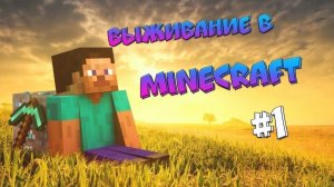 играем с другом на серваке часть 1