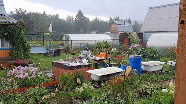 Дождь на даче смотреть онлайн