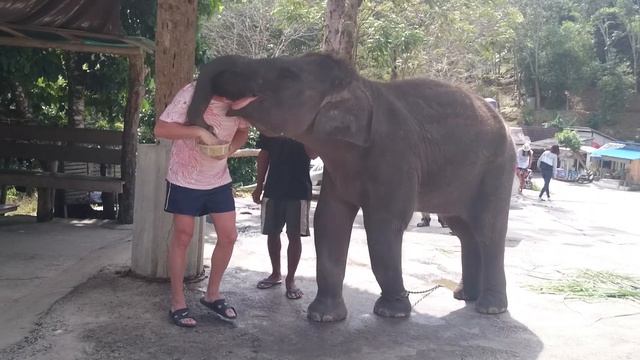 Таиланд - 2015г смотреть онлайн