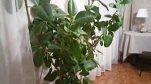 Обзор квартиры на четыре дня в г Владивосток путешествие всей семьёй!!!!