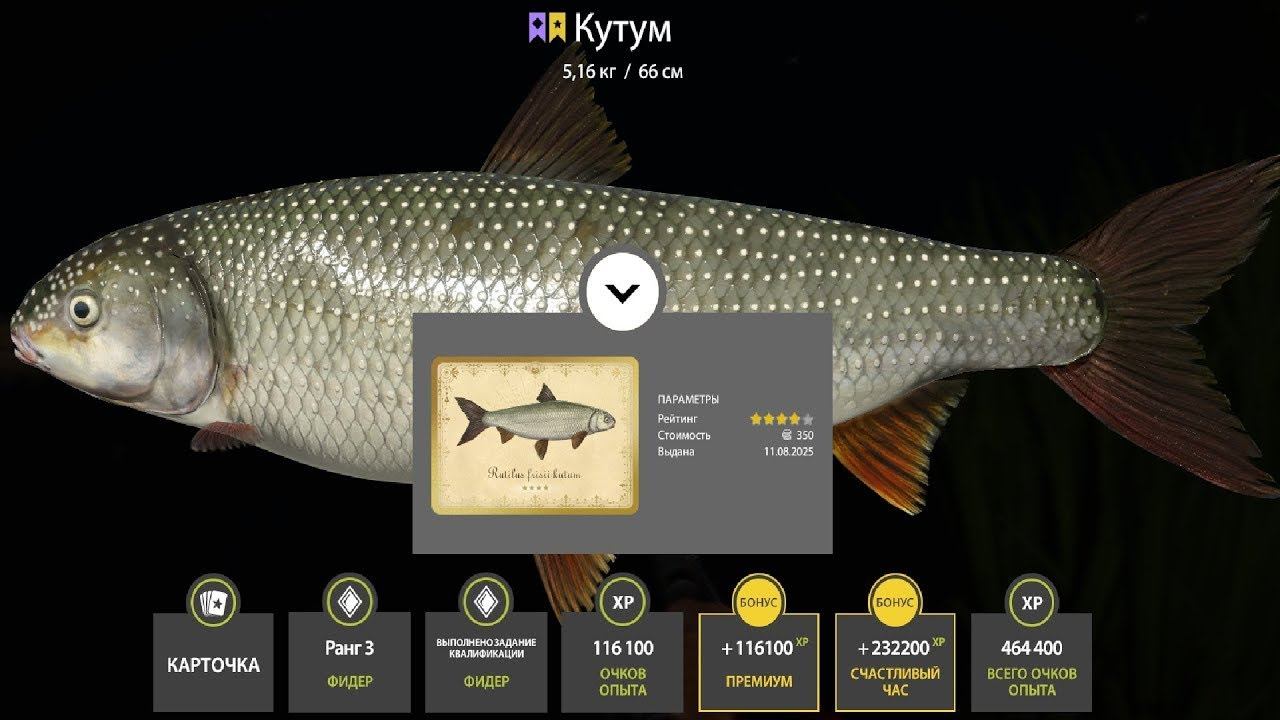 БЕЗУМНЫЙ ФАРМ 10 000 СЕРЫ НА МОРЕ, РАЗДАЧИ УСАЧА И КУТУМА НА АХТУБЕ ОБЗОР ВОДОЕМОВ РУССКАЯ РЫБАЛКА 4 смотреть онлайн