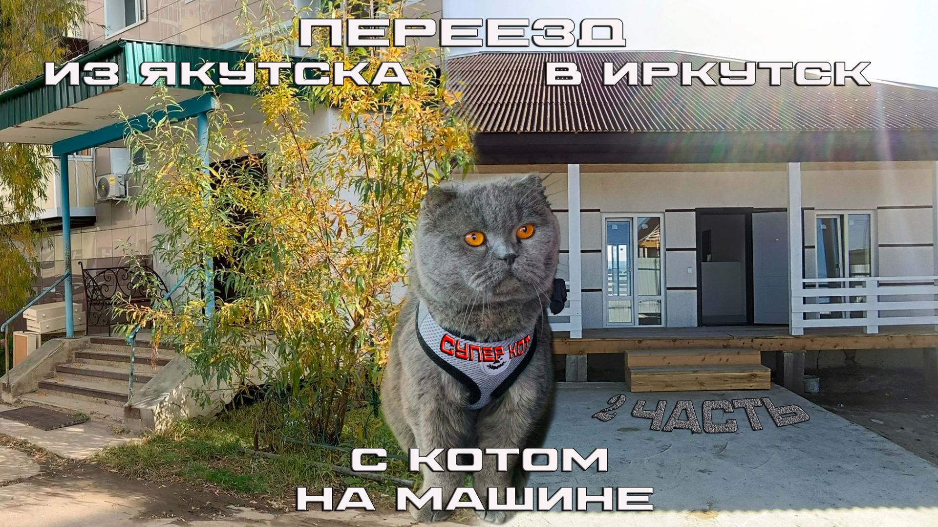 Переезд из Якутска в Иркутск с котом на машине. 2 Часть.