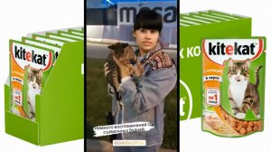 Диана Анкудинова и котик.