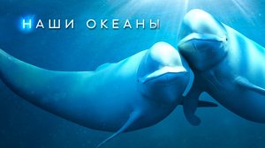 Наши океаны (2024) — 1 сезон 4 серия  | Северный Ледовитый Океан | Our Oceans (Дубляж)