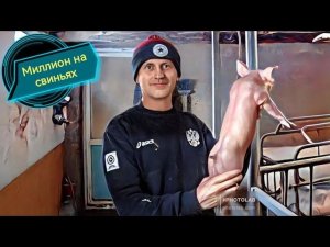 ‼️Белый пьетрен макстер‼️ миф или реальность. (White Pietrain Maxter)