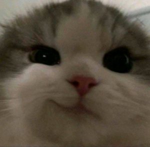 спасибо за ваши просмотры