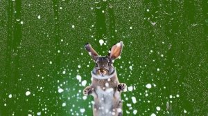 Переход-игра в снежки 4_encoded