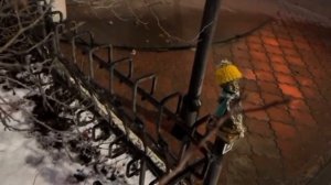 БОУ УР "Столичный лицей им. Е.М. Кунгурцева"