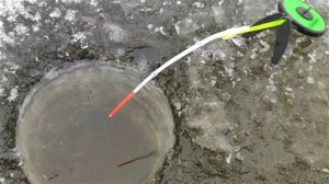 КРУПНЫЕ КАРАСИ гнут кивок... УДОЧКИ ШАТАЕТ!! Зимняя рыбалка на карася