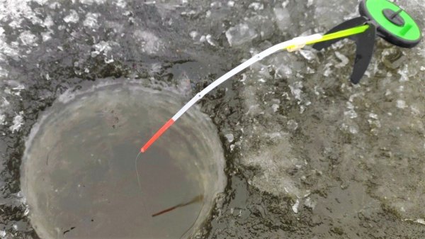 КРУПНЫЕ КАРАСИ гнут кивок... УДОЧКИ ШАТАЕТ!! Зимняя рыбалка на карася