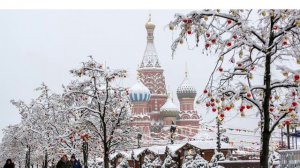 МГСВ новости недели 2.02.2026
