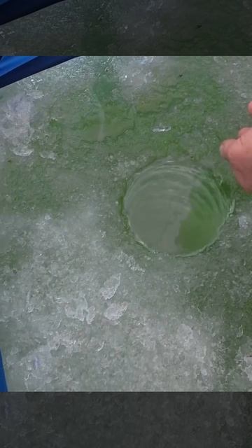 Сегодня по окушкам? Как раз мощного арбуза подвезли!!. смотреть онлайн