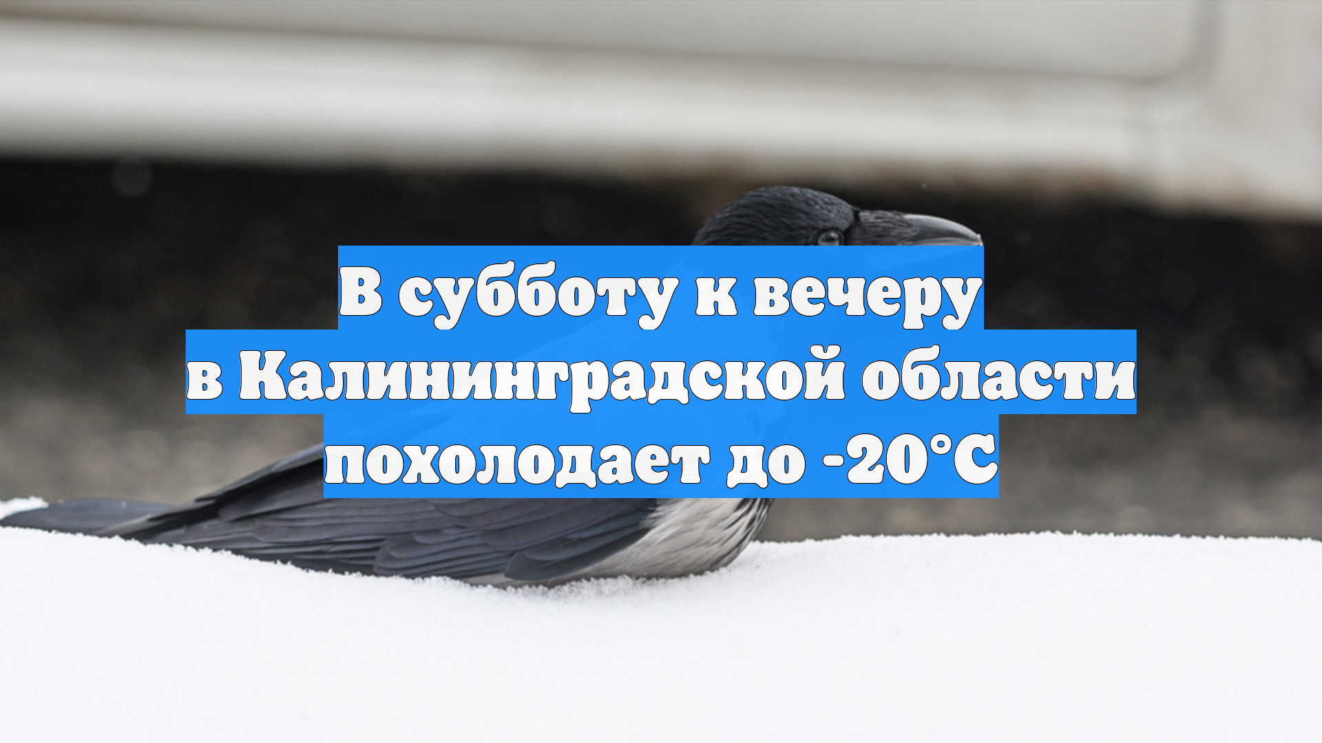 В субботу к вечеру в Калининградской области похолодает до -20°С