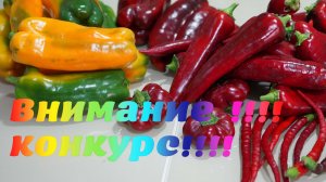 Розыгрыш. Розыгрыш2026