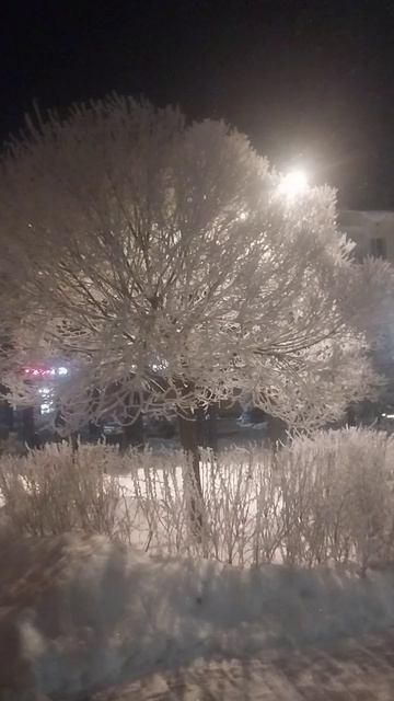 Какая же это красота!