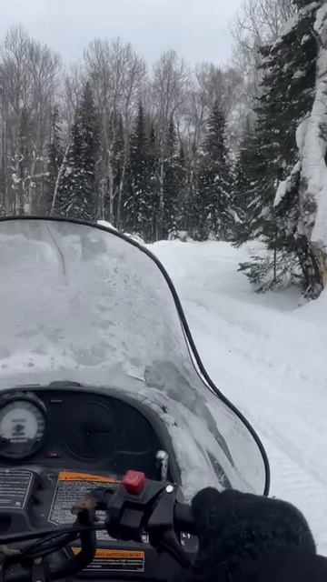 1000017880.mp4 смотреть онлайн