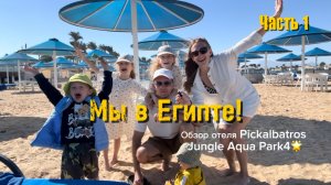 Египет зимой. Обзор отеля Pickalbatros Jungle Aqua Park 4🌟
