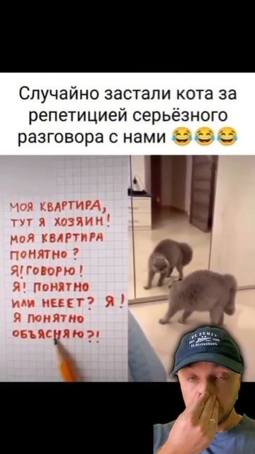 Репетиция разговора кота с хозяином